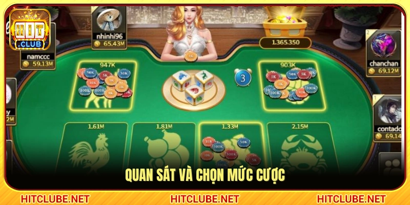 Theo dõi và đặt tiền cược